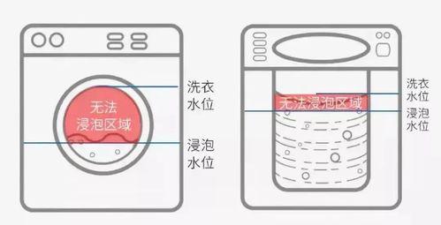 洗衣机触摸板的清洗方法（一步步教你如何清洗洗衣机触摸板）